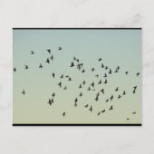 Vlucht van de Duiven Briefkaart (Voorkant)