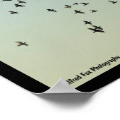 Vlucht van de Duiven Poster (Hoek)