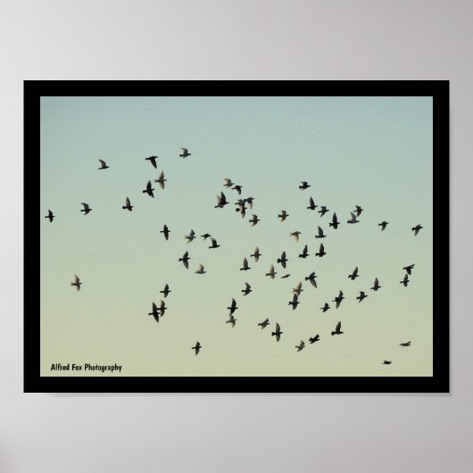Vlucht van de Duiven Poster (Voorkant)