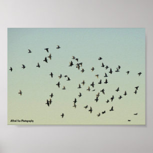 Vlucht van de Duiven Poster