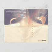 VLUCHT VAN DE GROOTSTE SCHIJVEN BRIEFKAART (Achterkant)