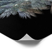 VLUCHT VAN DE HUMMINGVOGELS POSTER (Hoek)