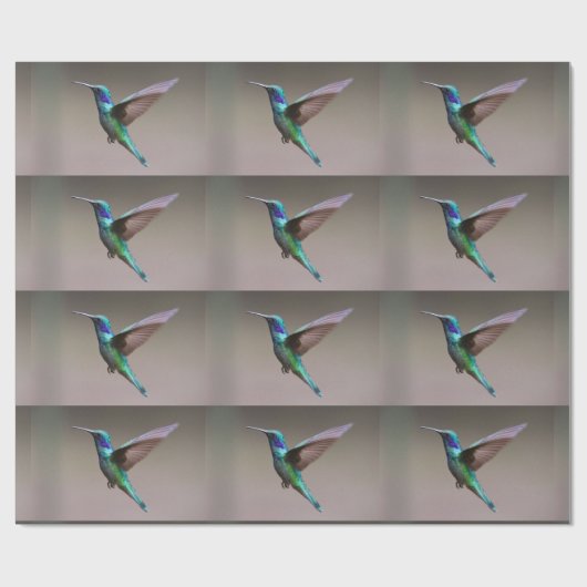 Vlucht van de kolibrie cadeaupapier (Vlak)