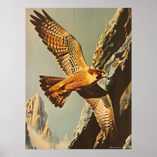 vlucht van de Merlin Falcon Poster (Voorkant)