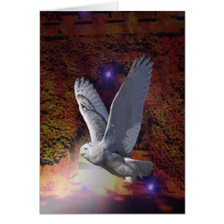 Vlucht van de nachtbocht.