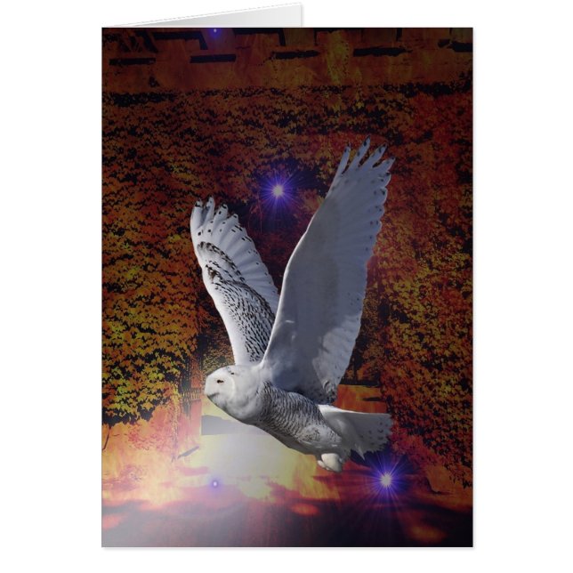 Vlucht van de nachtbocht. (Voorkant)