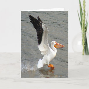 Vlucht van de Pelikaan Kaart