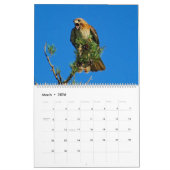 Vlucht van de Rode Hawk Kalender (Mar 2026)