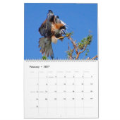 Vlucht van de Rode Hawk Kalender (Feb 2027)