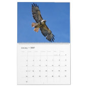 Vlucht van de Rode Hawk Kalender (Jan 2027)