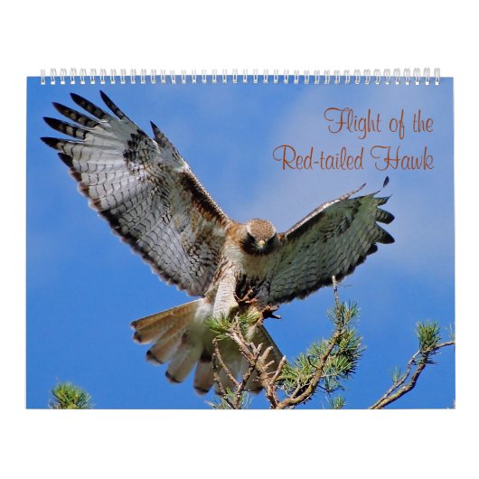 Vlucht van de Rode Hawk Kalender (Hoes)