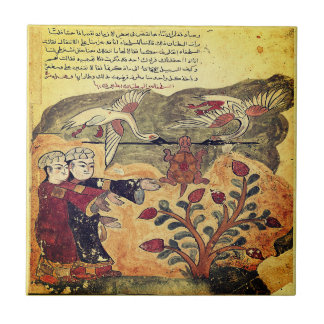 Vlucht van de Schildpad Indiase Renaissance Fabel Tegeltje