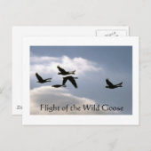 Vlucht van de Wilde Gans - gescheurde randen brief Briefkaart (Voorkant / Achterkant)