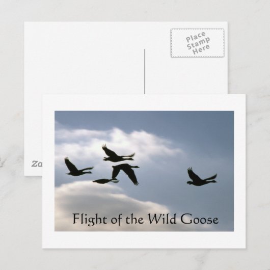 Vlucht van de Wilde Gans - gescheurde randen brief Briefkaart (Voorkant / Achterkant)