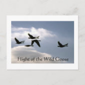 Vlucht van de Wilde Gans - gescheurde randen brief Briefkaart (Voorkant)