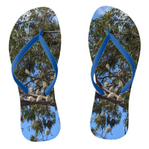 Vlucht van het wild: witte Australische kaketoes Teenslippers