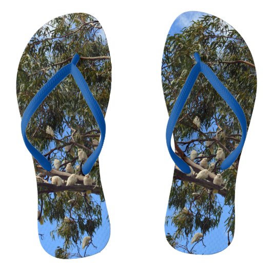 Vlucht van het wild: witte Australische kaketoes Teenslippers (Voetbed)