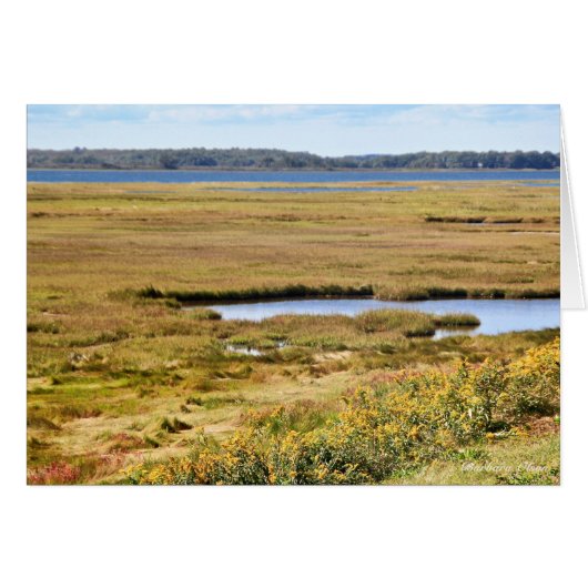 Vluchteling Parker River Wildlife: Plum Island (Voorkant Horizontaal)