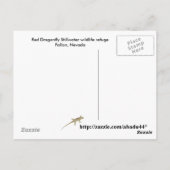Vluchtelingentoevluchtsoord Fallon, rode dragonfly Briefkaart (Achterkant)