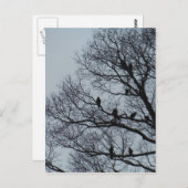 Vluchten in een winterboom briefkaart (Voorkant / Achterkant)