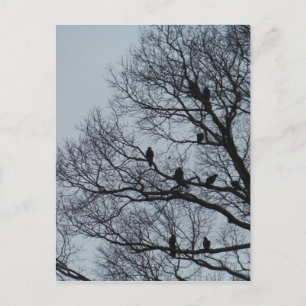 Vluchten in een winterboom briefkaart