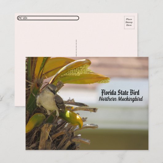 Vluchten naar Florida State Bird Briefkaart (Voorkant / Achterkant)