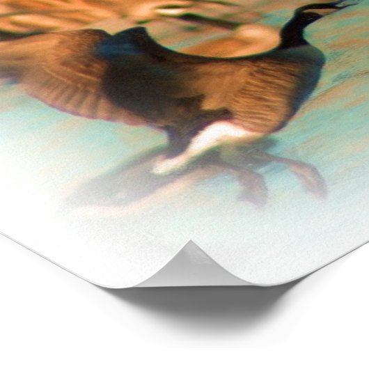 VLUCHTEN VAN FANCY AFDRUKTE POSTER (Hoek)