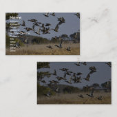 Vluchten van watervogels afkomstig van wetland in  visitekaartje (Voorkant / Achterkant)