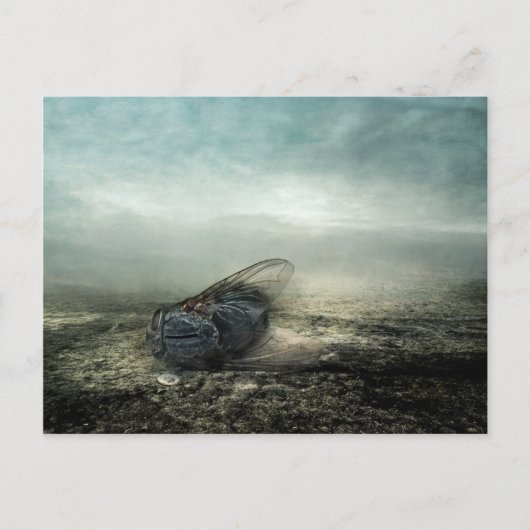 Vluchtjaar 2013 briefkaart (Voorkant)