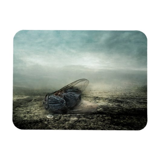 Vluchtjaar 2013 magneet (Horizontaal)