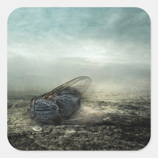 Vluchtjaar 2013 vierkante sticker (Voorkant)