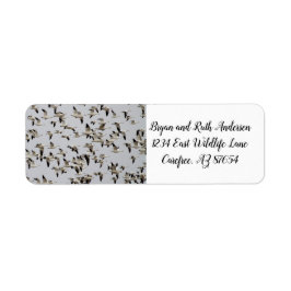 Vluchtkuil van ganzen etiket