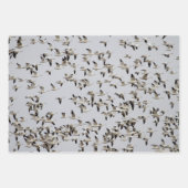 Vluchtkuil van ganzen inpakpapier vel (Voorkant 2)