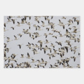 Vluchtkuil van ganzen inpakpapier vel (Voorkant)