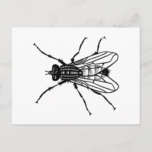 Vluchttekening - insecten, plagen, vliegen briefkaart (Voorkant)