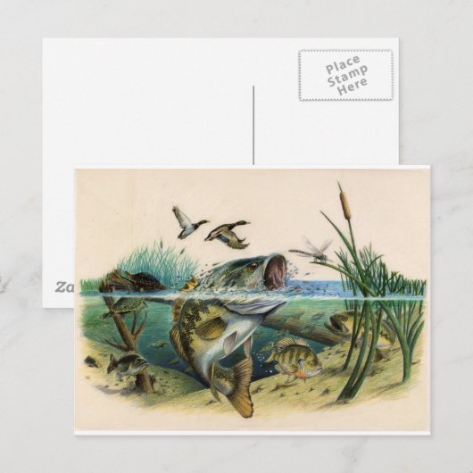 Vochtgewicht Briefkaart (Voorkant / Achterkant)