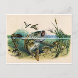 Vochtgewicht Briefkaart