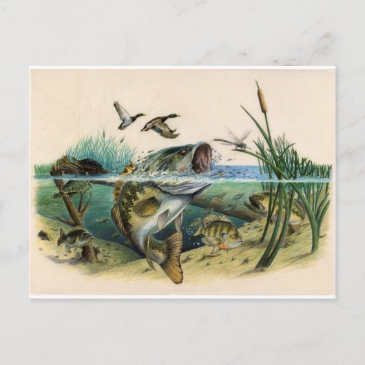 Vochtgewicht Briefkaart (Voorkant)