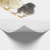 vochtkuikens cadeaupapier (Hoek)