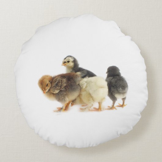 vochtkuikens rond kussen (Achterkant)