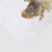 vochtkuikens tissuepapier (Detail)