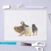 vochtkuikens tissuepapier (Craft)