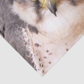 VOD VAN PREY FALCON TISSUEPAPIER (Detail)