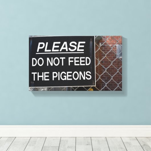 Voed de Pigeons NYC New York Fotografie niet aan Canvas Afdruk (Insitu (Houten vloer))