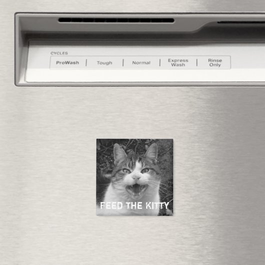 Voed het Kat Crabby Cat Magnet (Insitu (Vaatwasser))