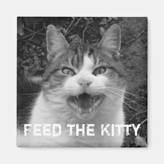 Voed het Kat Crabby Cat Magnet (Voorkant)