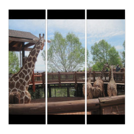 Voedend de Dierentuin van de Giraffe personaliseer Drieluik