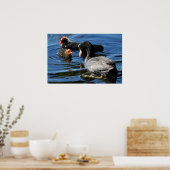 Voederbaby's Poster (Keuken)