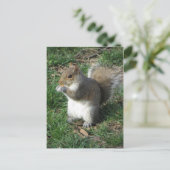 Voedereekhoorn Briefkaart (Staand voorkant)
