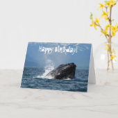 voedering aan bultrug kaart (Gele Bloem)